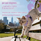rabbitgoo Cat Harness y Leash Set, Escape Proof Vest, Purr-ple Daisy