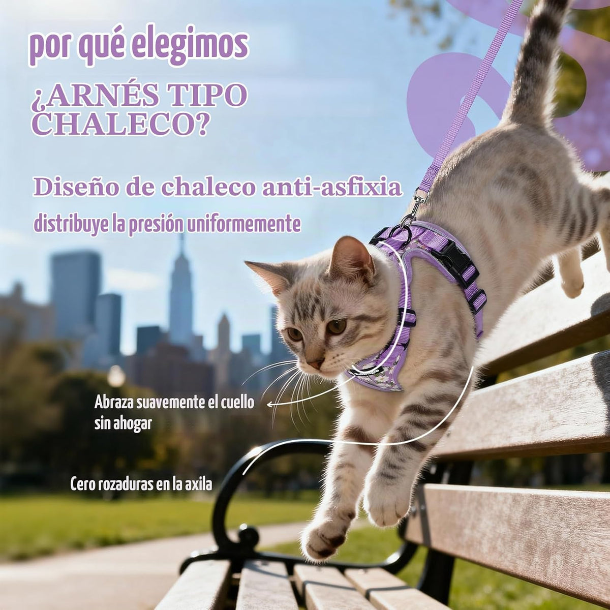 rabbitgoo Cat Harness y Leash Set, Escape Proof Vest, Purr-ple Daisy