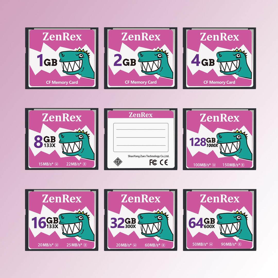 ZenRex Tarjeta de memoria CompactFlash de 2 GB Tarjeta CF