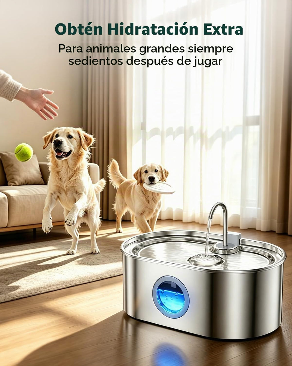 Fuente de agua extra grande para perros de 4.2 galones, fuente de agua para