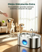 Fuente de agua extra grande para perros de 4.2 galones, fuente de agua para