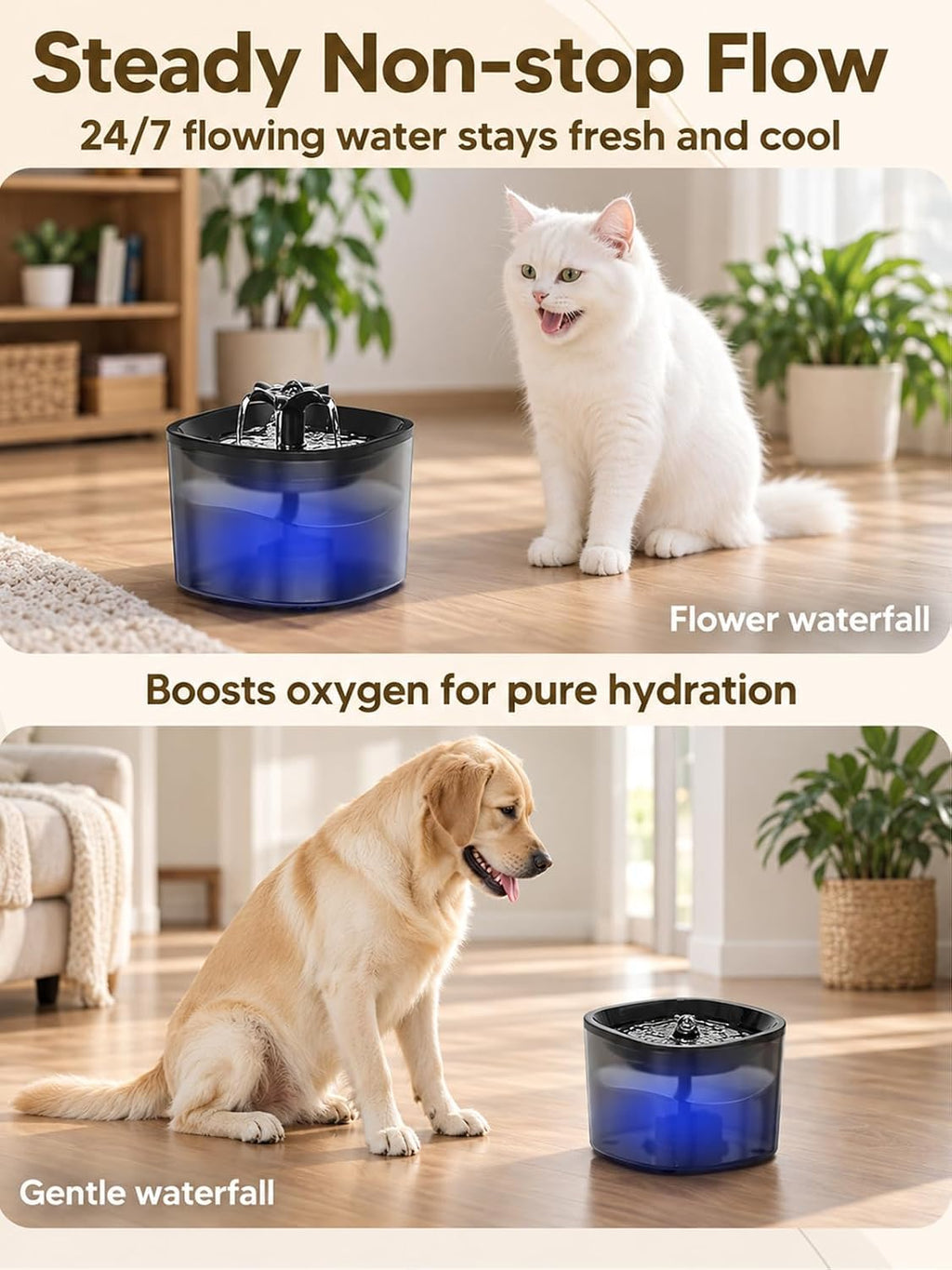 Alimentador automático para gatos y fuente de agua para gatos
