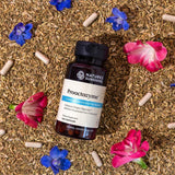 Nature's Sunshine Proactazyme 100 Cápsulas