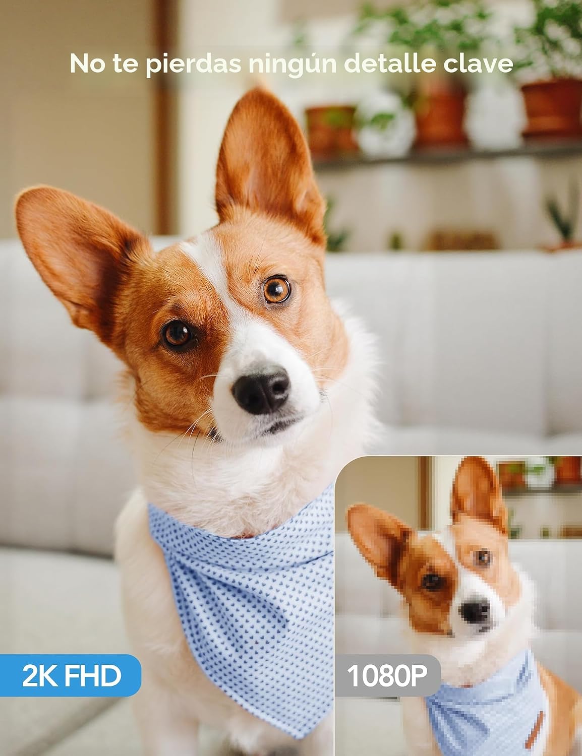 GNCC Cámaras 5G para seguridad en el hogar interior, mascota/perro/bebé con