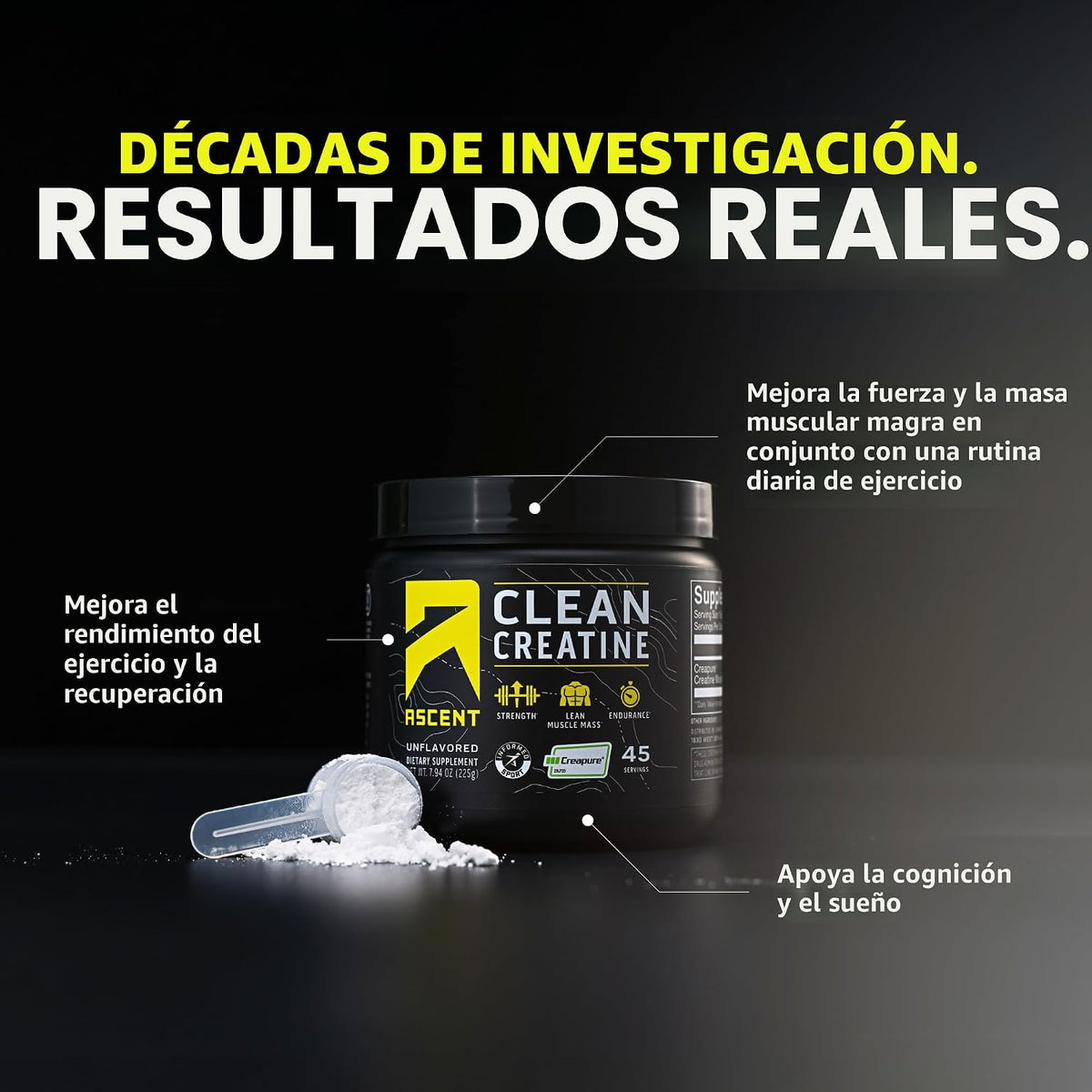 Ascent Creatina Monohidrato Limpia en Polvo - 5G Por Porción, Suple...
