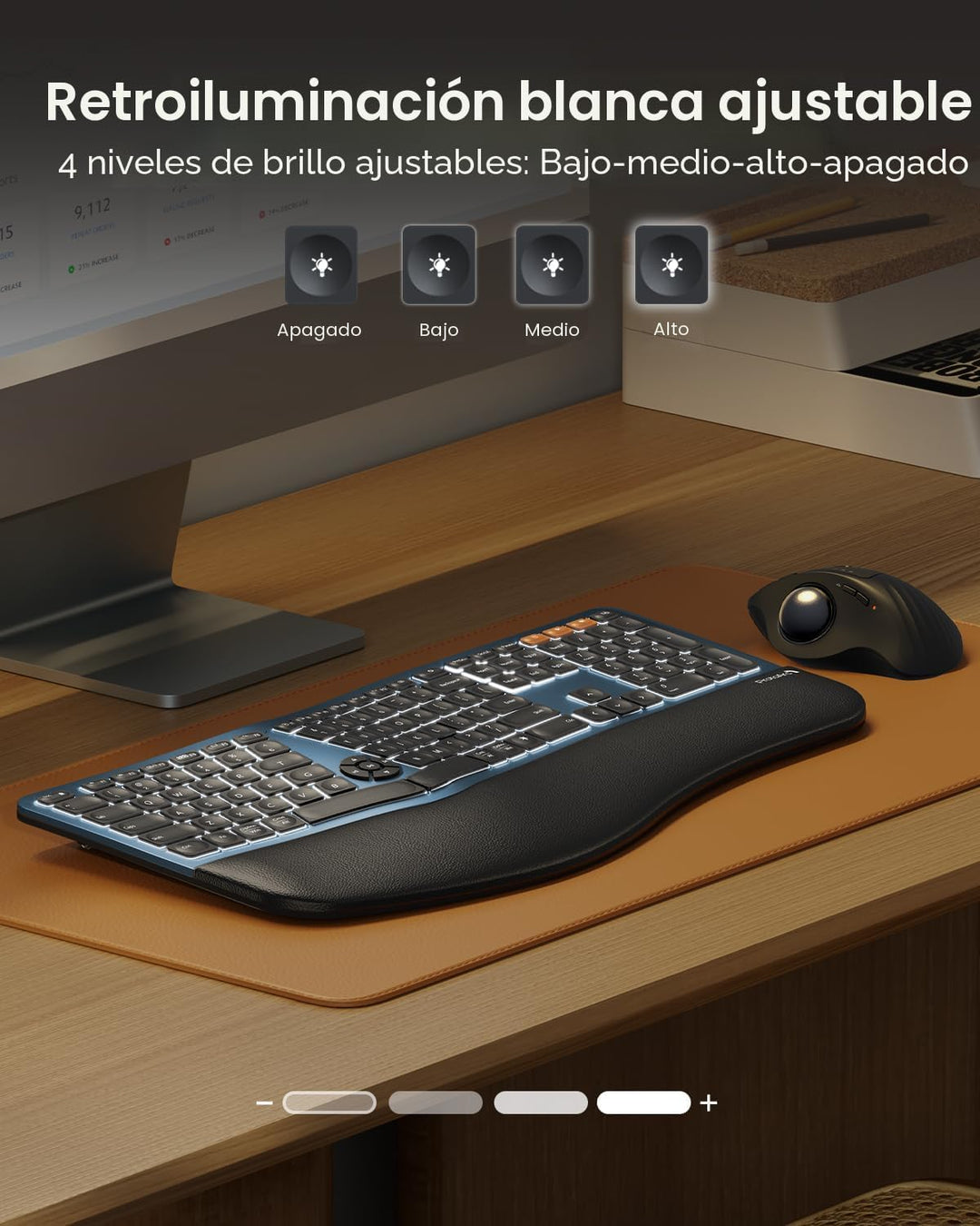 ProtoArc Teclado ergonómico Bluetooth retroiluminado, EK01 Plus, te...