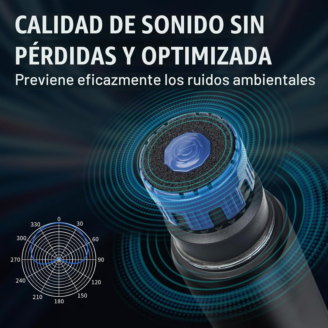 Depusheng Sistema de micrófonos inalámbricos con 2 canales, micrófo...