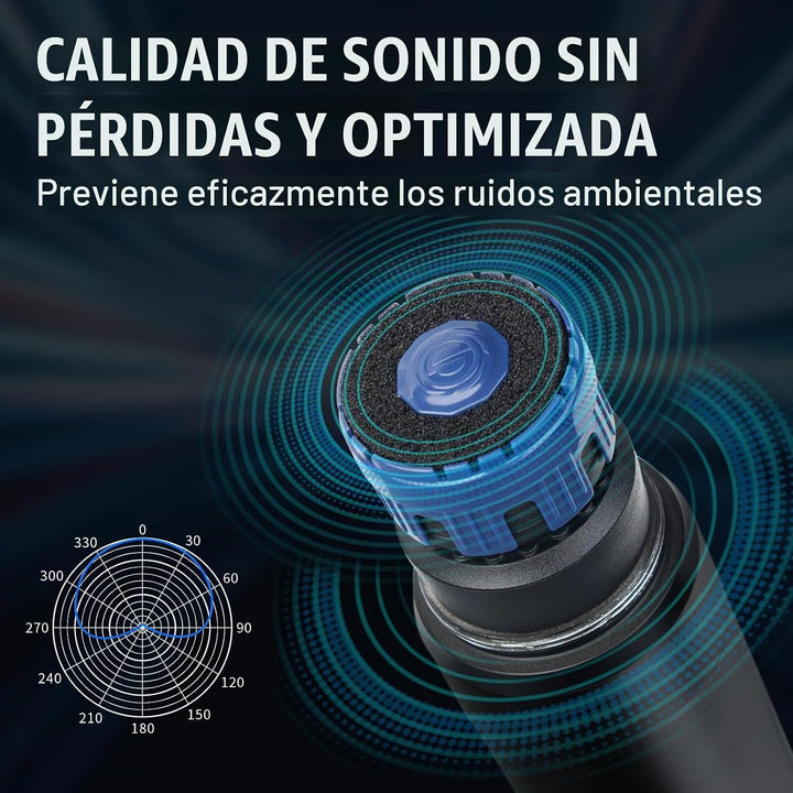 Depusheng Sistema de micrófonos inalámbricos con 2 canales, micrófo...