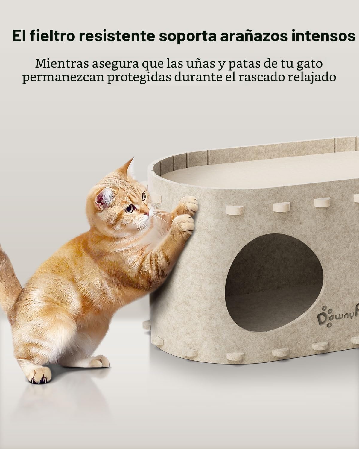DownyPaws Casa para gatos de interior, cueva Peekaboo Cat Bed Cave