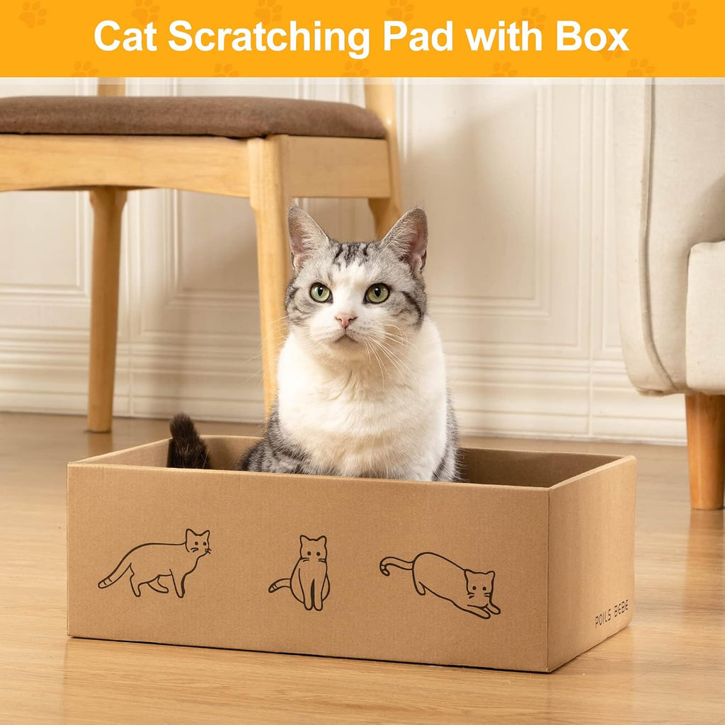 5 piezas de rascador para gatos con caja, rascadores reversibles para gatos de interior, rascador de cartón para gatos con hierba gatera, 2 tablas curvas y 3 tablas planas para rascar en la