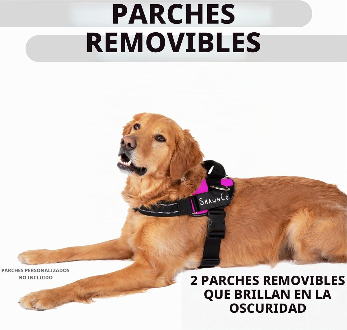 ShawnCo Essential Pro - Arnés para perro, chaleco sin tirones para mascotas