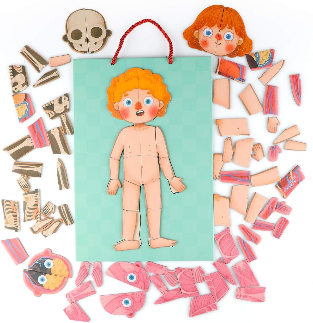 Rompecabezas de cuerpo humano para niños pequeños, 90 piezas