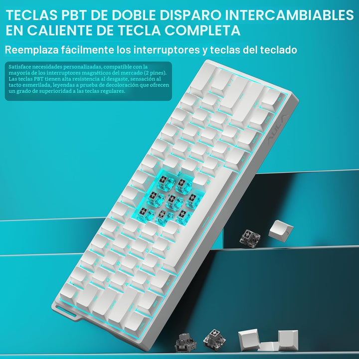 Aula WIN60 HE - 60% Teclado mecánico para juegos con cable, interru...