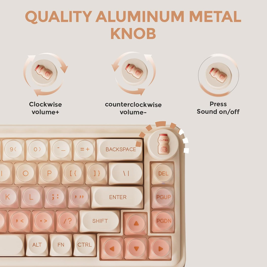 DAREU Teclado mecánico inalámbrico 65% de 68 teclas, teclas Jelly,...