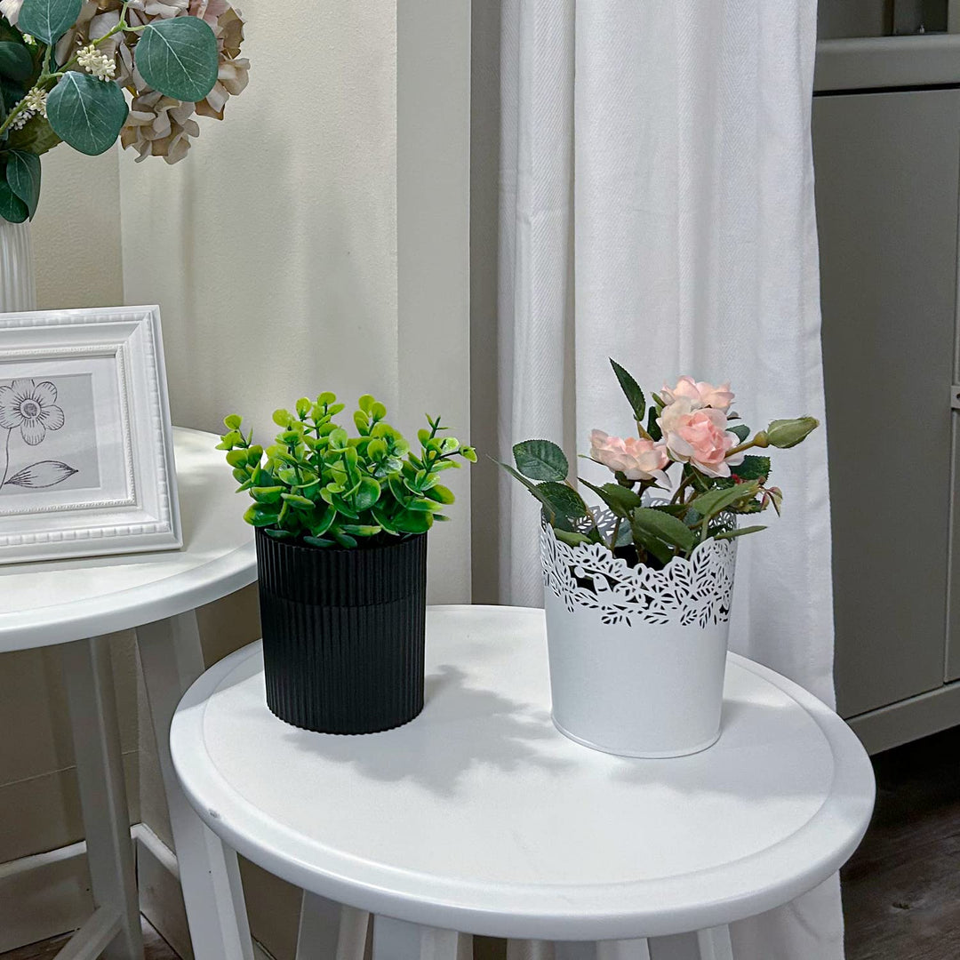 Baño de dentadura, estuche invisible para dentaduras postizas diseñ...