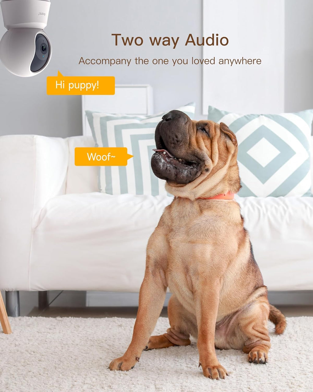 ARENTI - Cámara para mascotas de 5 MP P2Q, 5G WiFi 6 Cámara de seguridad interior, aplicación gratuita para teléfono