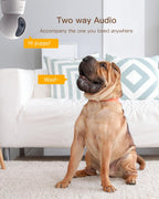 ARENTI - Cámara para mascotas de 5 MP P2Q, 5G WiFi 6 Cámara de seguridad interior, aplicación gratuita para teléfono