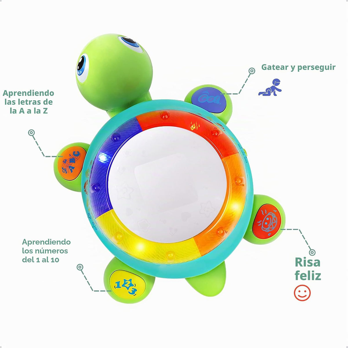 iPlay, iLearn Juguete Musical de Tortuga para gatear para bebé, Bilingüe en español e inglés