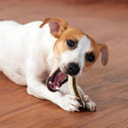 Paquete de 3 juguetes masticables para perros para masticadores agresivos