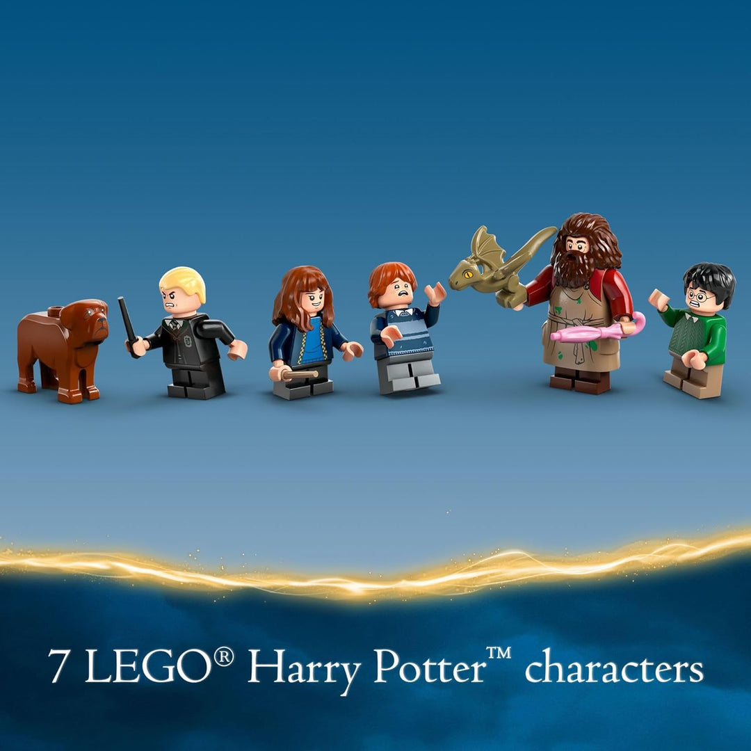 LEGO Harry Potter Hagrids Hut una visita inesperada -