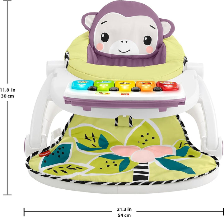 Fisher-Price Silla de bebé portátil Kick Play Deluxe