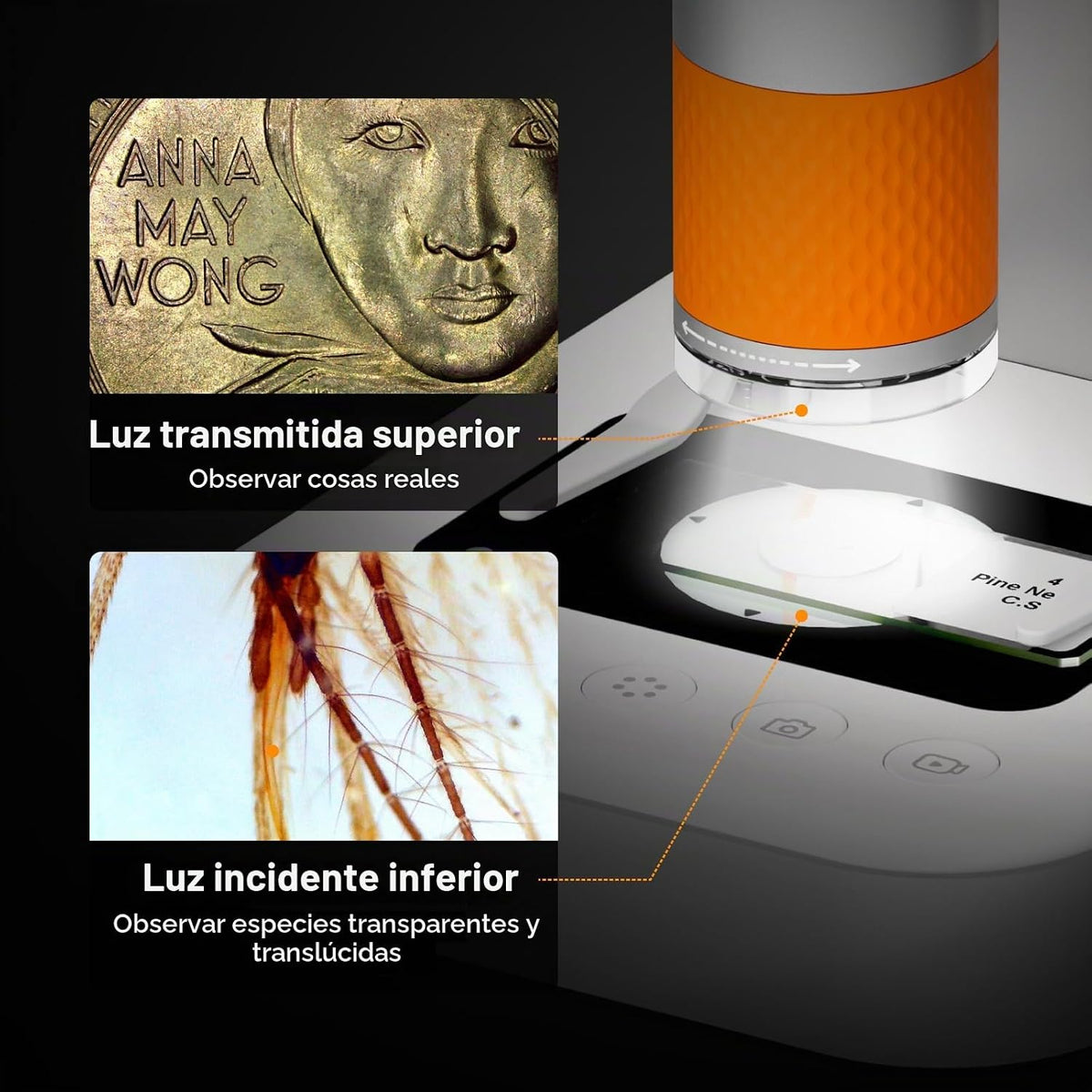 Microscopio para niños 8-12, miniscopio digital del PDA MX2-AS