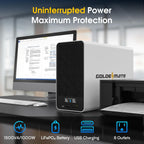 GOLDENMATE Batería de reserva y protector contra sobretensiones de batería