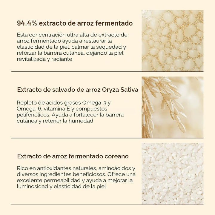 Set hidratante de cuidado de la piel de arroz coreano \u2013 Radian...
