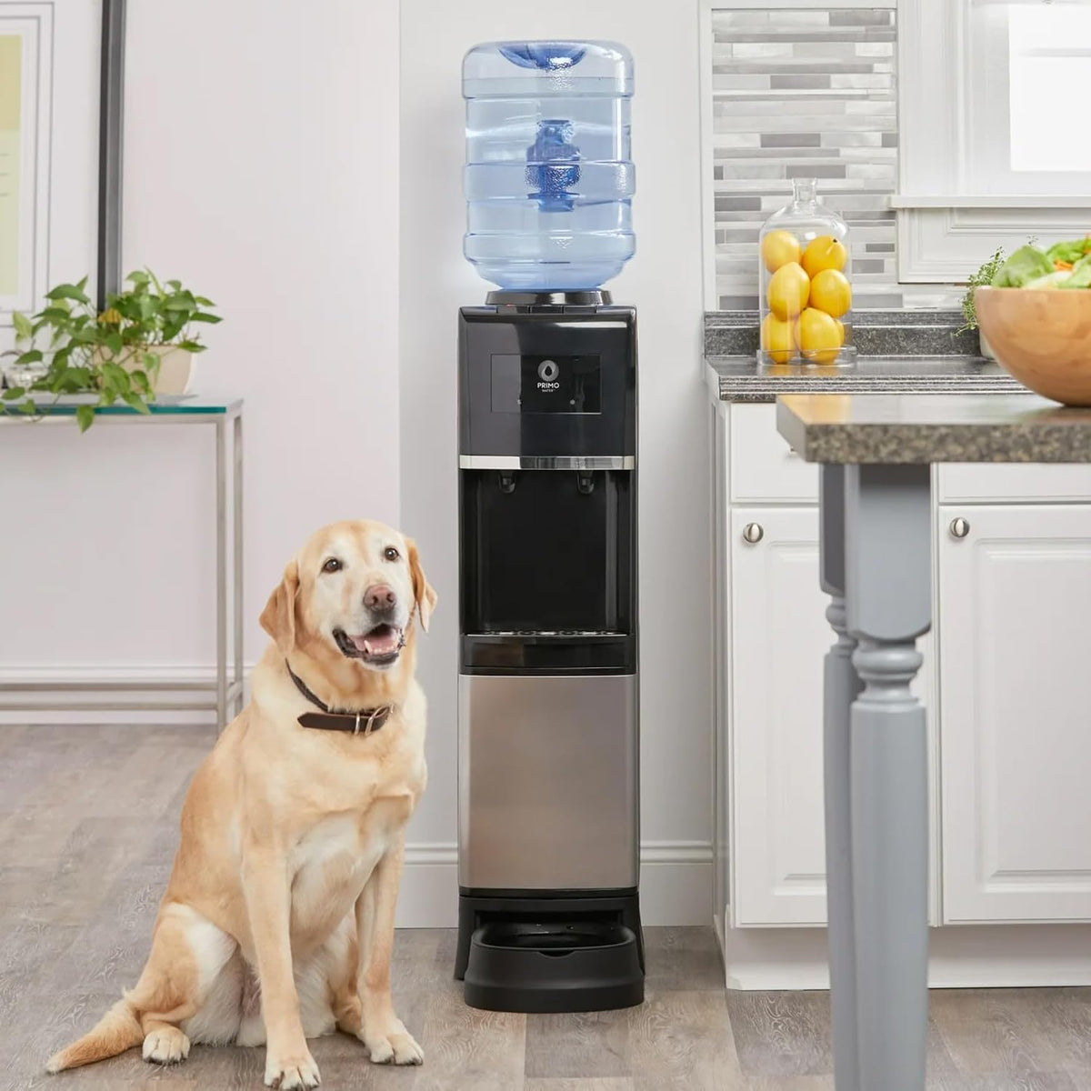 Dispenser de agua Primo para botella de 5 galones con estación de bebida para mascotas - Enfriamiento y calentamiento superior con carga de agua