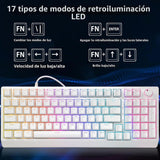 HUO JI Teclado mecánico para juegos con cable, 17 modos retroilumin...
