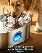 Fuente de agua extra grande para perros de 4.2 galones, fuente de agua para