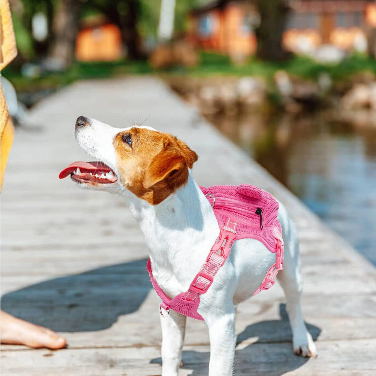 Arnés de mochila para perro, mochila sin tirones con anillo en D, cerdo, M