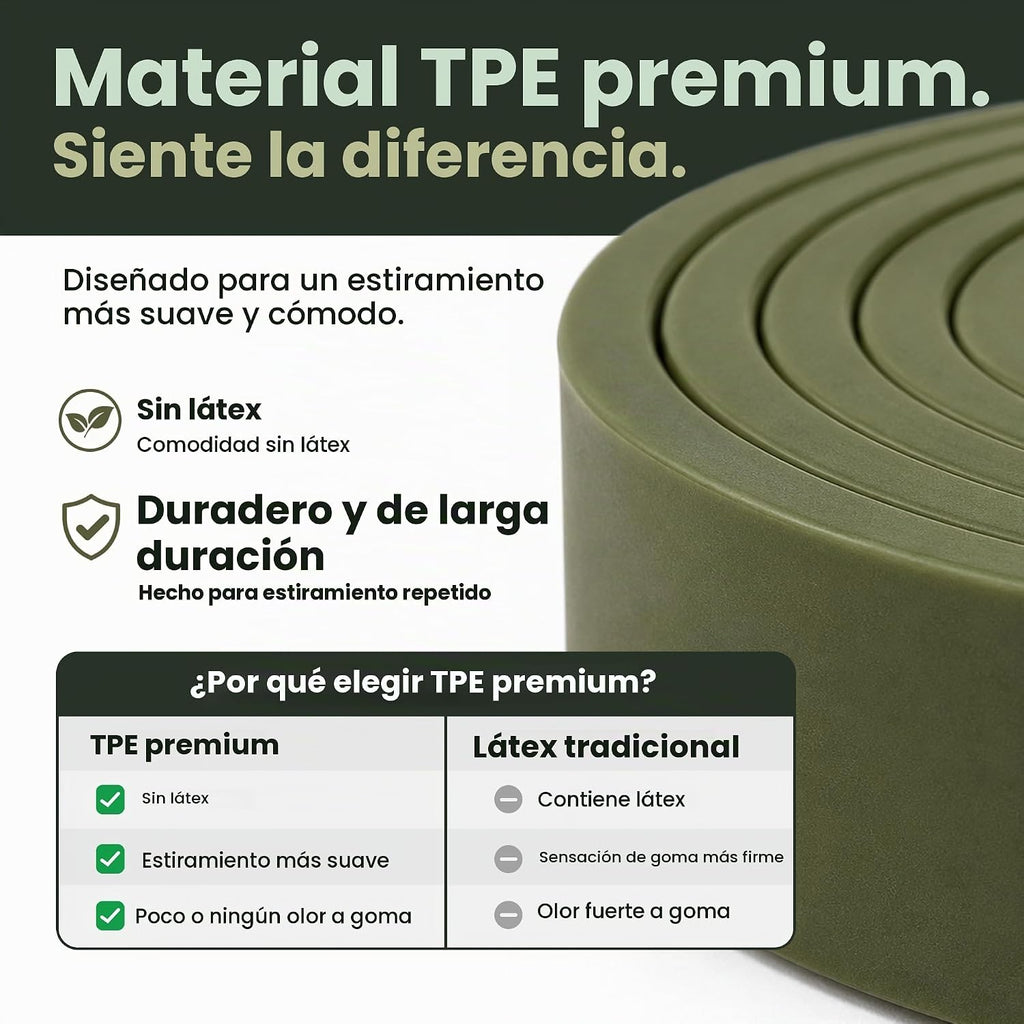 Juego de bandas de resistencia de salvación para gimnasio, 5 bandas de asistencia y entrenamiento de fuerza, bucles duraderos de levantamiento de potencia y entrenamiento con bolsa de transporte