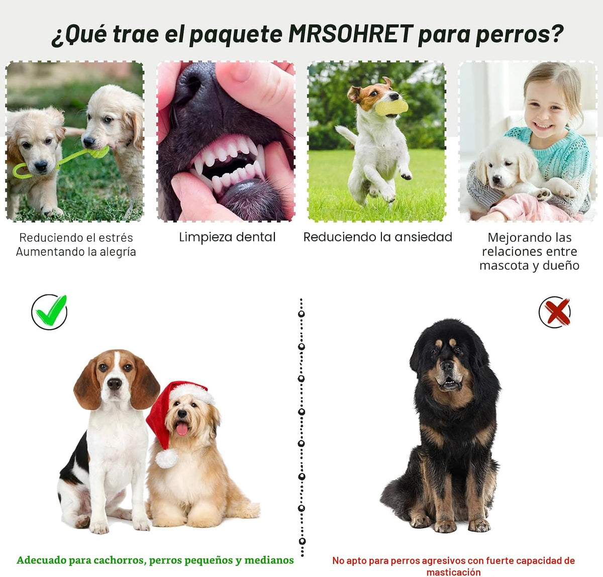 20 unidades Juguetes para Cachorros para la Dentición, Juguetes para Masticar con Cuerda, Cepillo Dental para Perros, Pelotas Dispensadoras de Premios, Juguetes de Peluche y Juguetes Chirriantes para Perros Pequeños y Medianos con Canasta para Mantenerlos