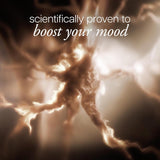 philosophy hair and body mists \u2013 long-lasting fragrance mists...