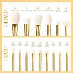 DUcare Juego de 15 brochas de maquillaje con soporte