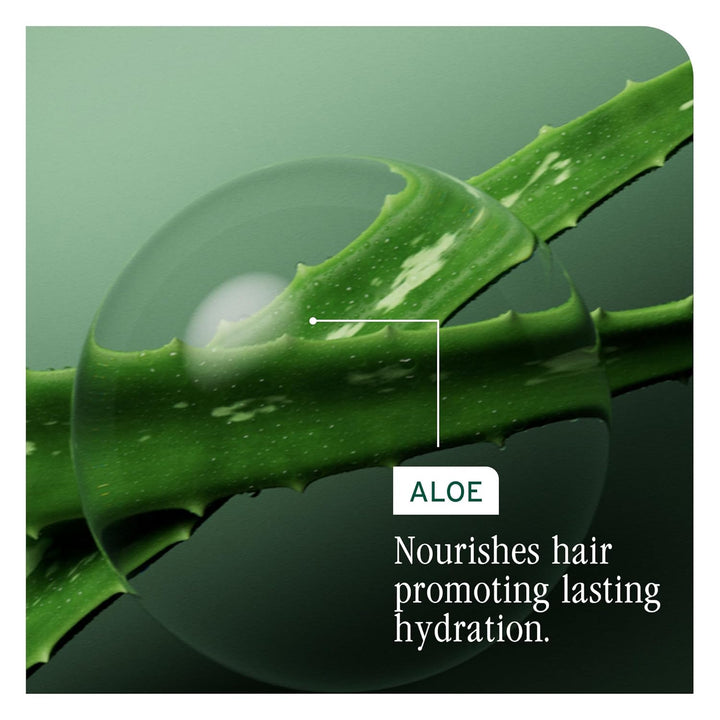 Biolage Hydra Source Shampoo - Softens, Moisturizes &amp; Adds Shin...