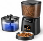 Alimentador automático para gatos y fuente de agua para gatos