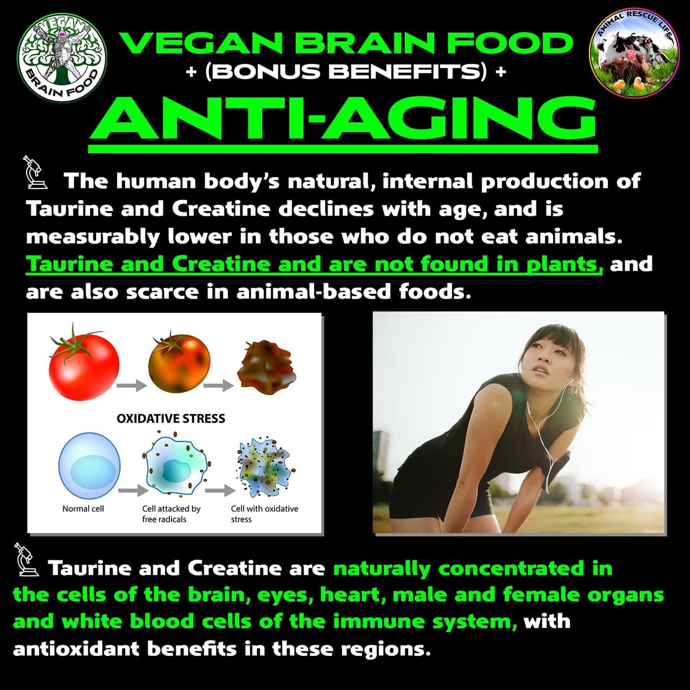Vegan's Best Friend - Multivitamínico a base de plantas para ho...