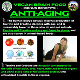 Vegan's Best Friend - Multivitamínico a base de plantas para ho...