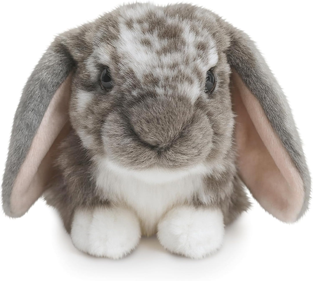 Living Nature Conejo gris holandés con orejas de Lop de peluche | C...