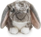Living Nature Conejo gris holandés con orejas de Lop de peluche