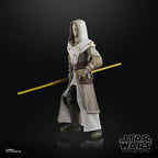 STAR WARS The Black Series Jedi Temple Guard, The Clone Wars
