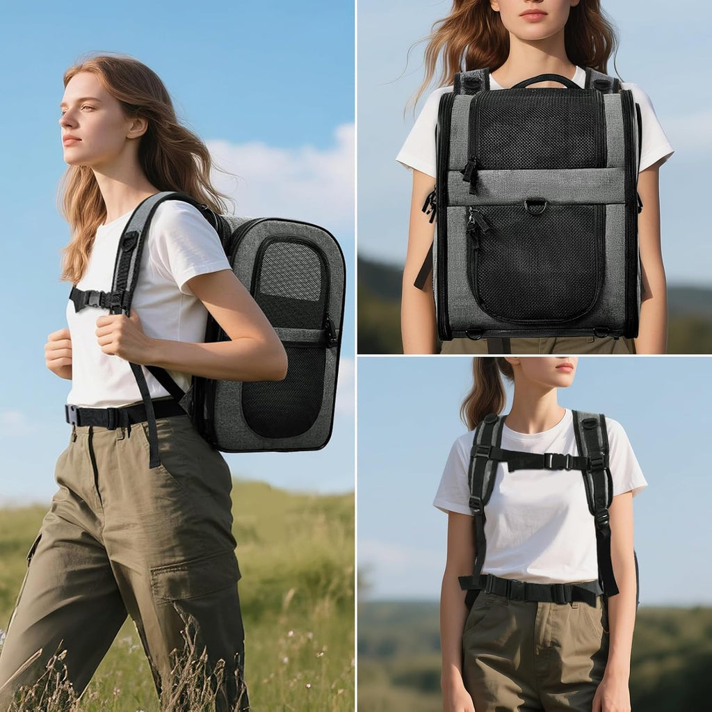 Apollo Walker Mochila transportadora de mascotas para gatos y perros grandes/pequeños, cachorros, características de seguridad y soporte de respaldo acolchado para viajes, senderismo, uso al aire