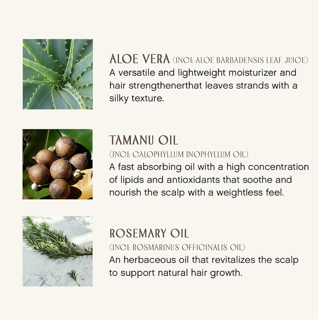 INNERSENSE Organic Beauty - Acondicionador sin enjuague Natural Swe...