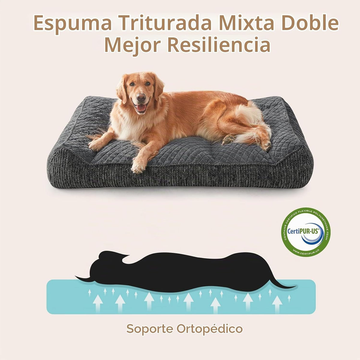 JOEJOY XL - Cama ortopédica para perros grandes, cama de espuma extra