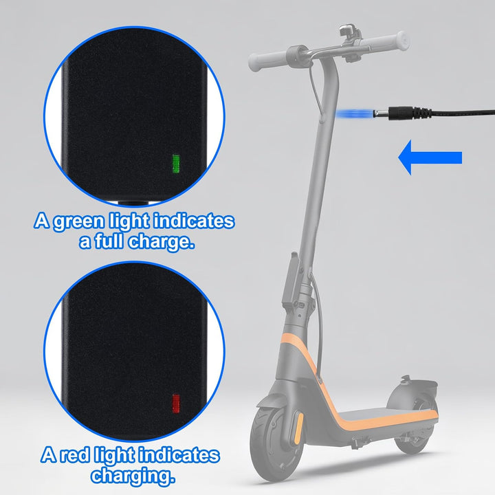 BTFO Cargador de scooter de 252 V para Ninebot compatible