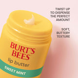 Burt's Bees Mantequilla labial de menta dulce, repara los labio...