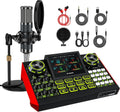 TENLAMP Paquete de mezclador de audio G9 con micrófono para streaming y