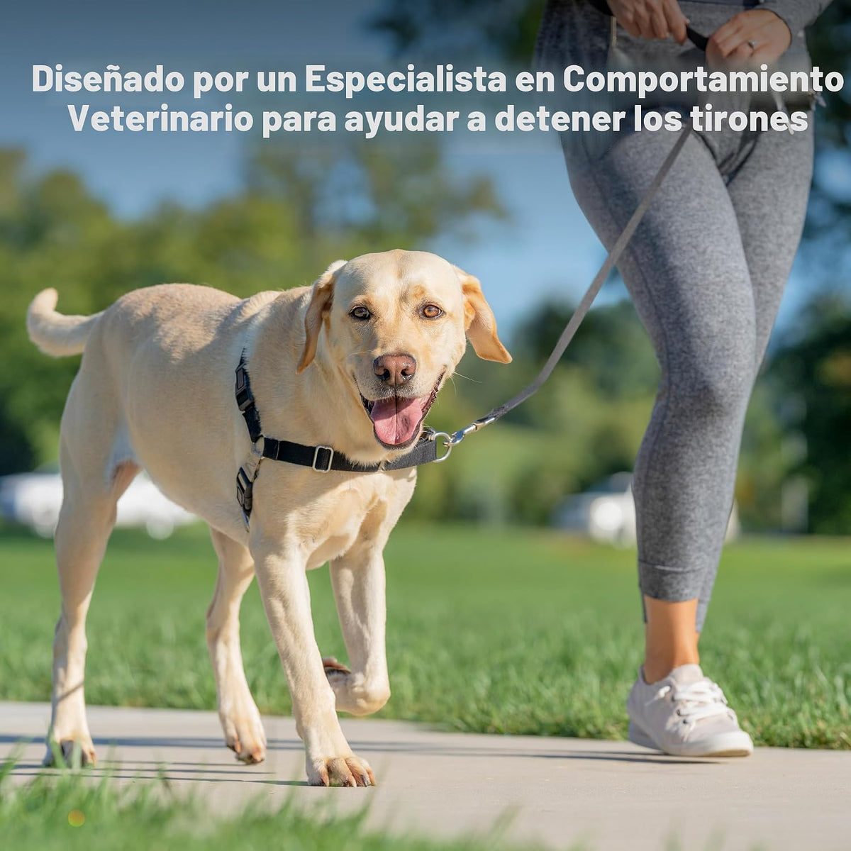 PetSafe Easy Walk - Arnés para perro, sin tirones, gris carbón, grande
